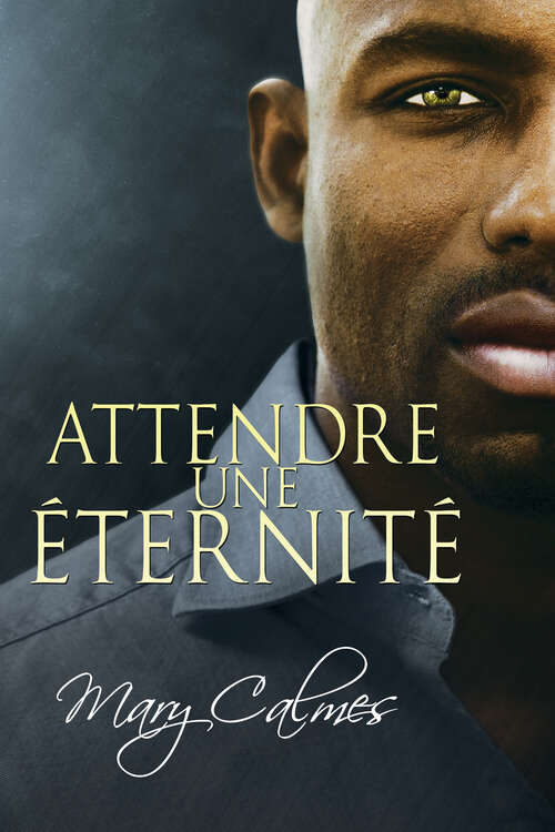 Book cover of Attendre une éternité (La Voûte #2)