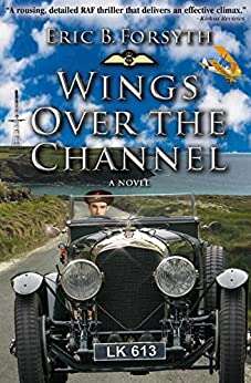 Book cover of Wings Over The Channel