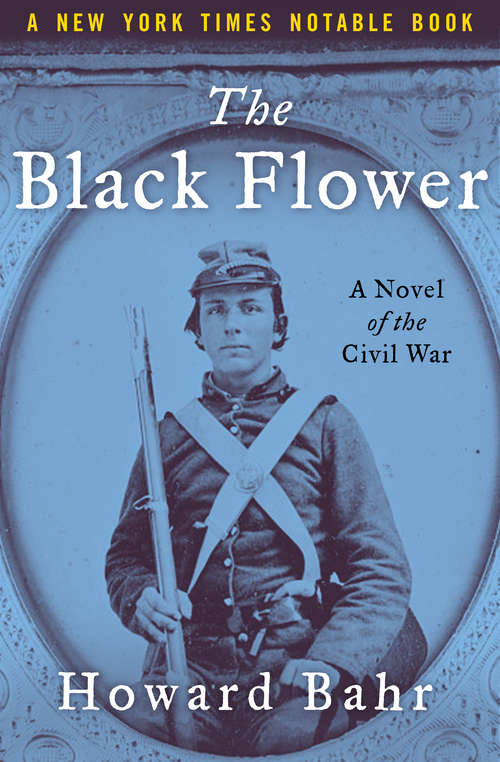 Book cover of The Black Flower: A Novel of the Civil War (3)