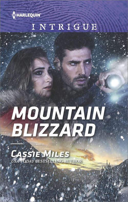 Book cover of Mountain Blizzard