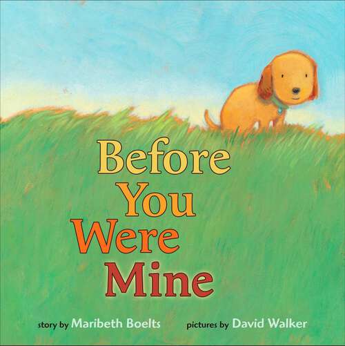 Book cover of Before You Were Mine