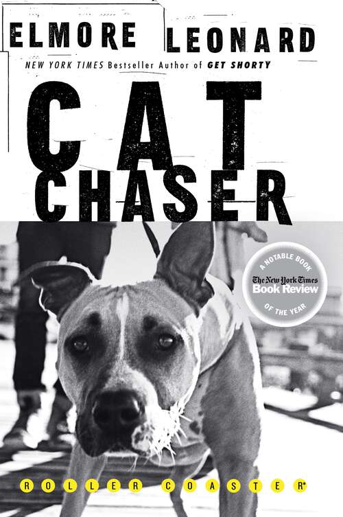 Book cover of Cat Chaser