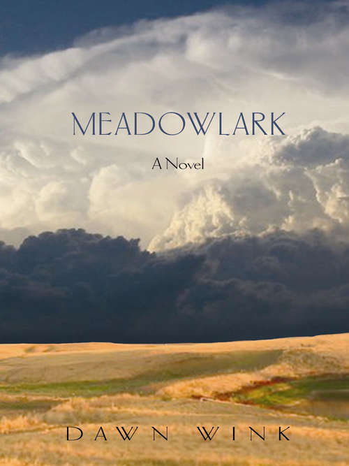 Book cover of Meadowlark