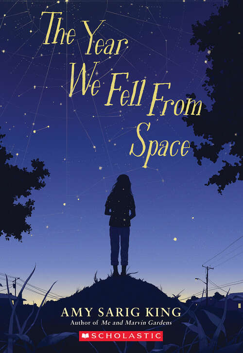 Book cover of The Year We Fell From Space