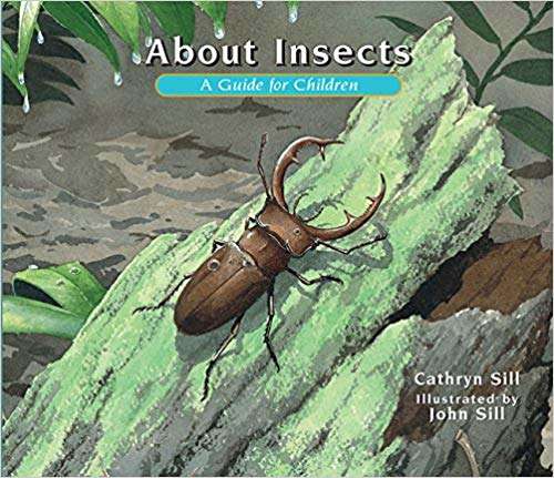 About Insects: A Guide for Children (Fountas & Pinnell LLI Blue #Level J)