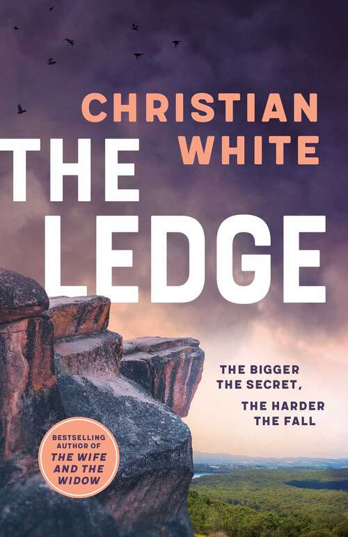 Book cover of The Ledge