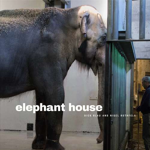 Book cover of Elephant House (Animalibus: Of Animals and Cultures #7)
