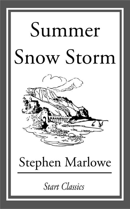 Book cover of Summer Snow Storm