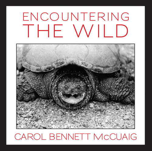Book cover of Encountering the Wild