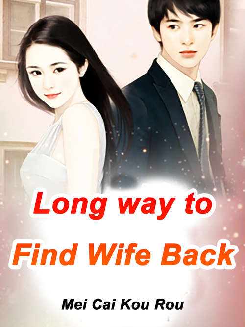 Book cover of Long way to Find Wife Back: Volume 4 (Volume 4 #4)