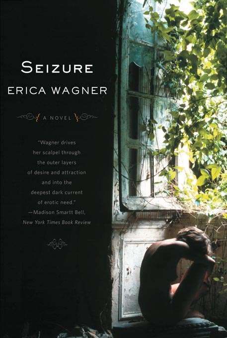 Book cover of Seizure: A Novel