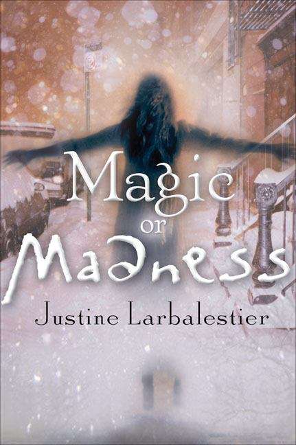 Magic or Madness (Magic or Madness, Book #1)