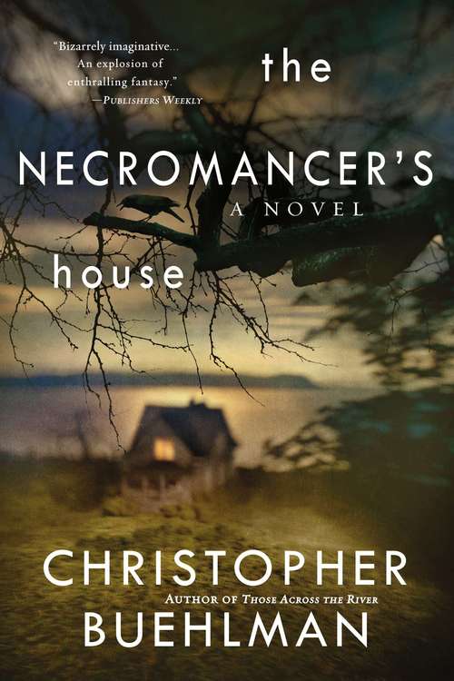 Book cover of The Necromancer's House