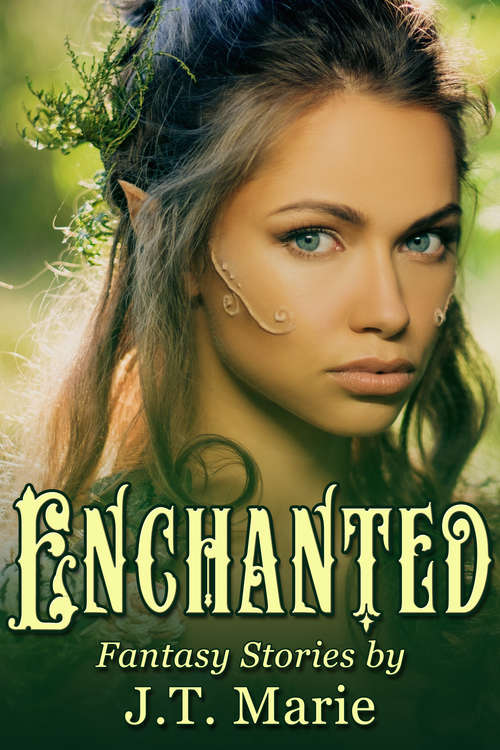 Book cover of Enchanted Box Set