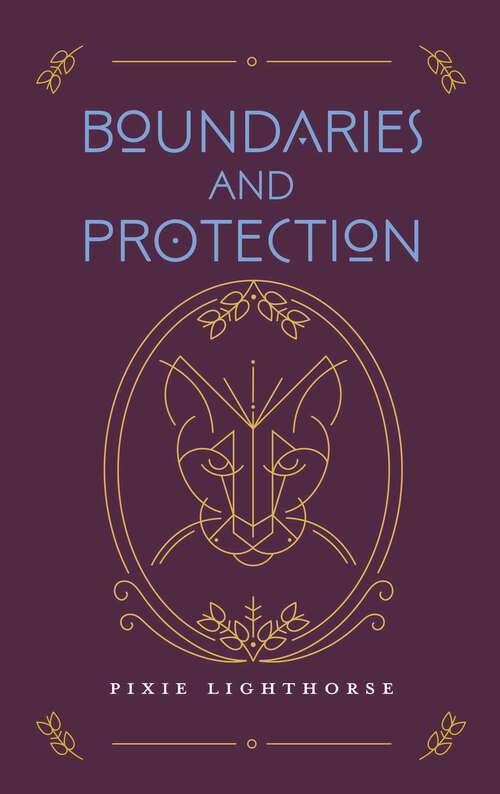 Book cover of Boundaries and Protection