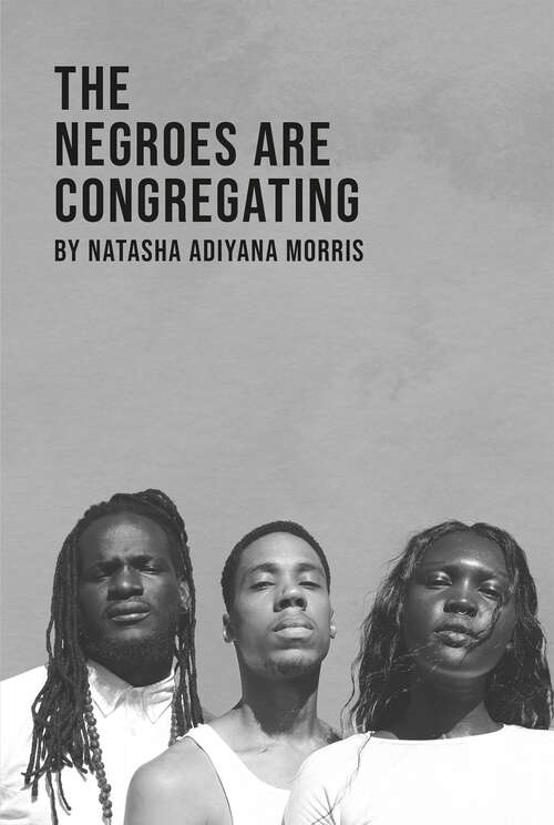 Book cover of The Negroes Are Congregating