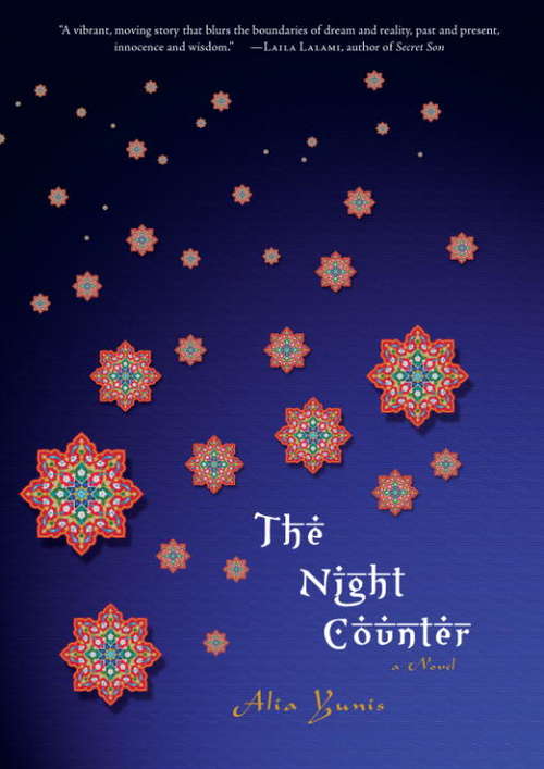 Book cover of The Night Counter