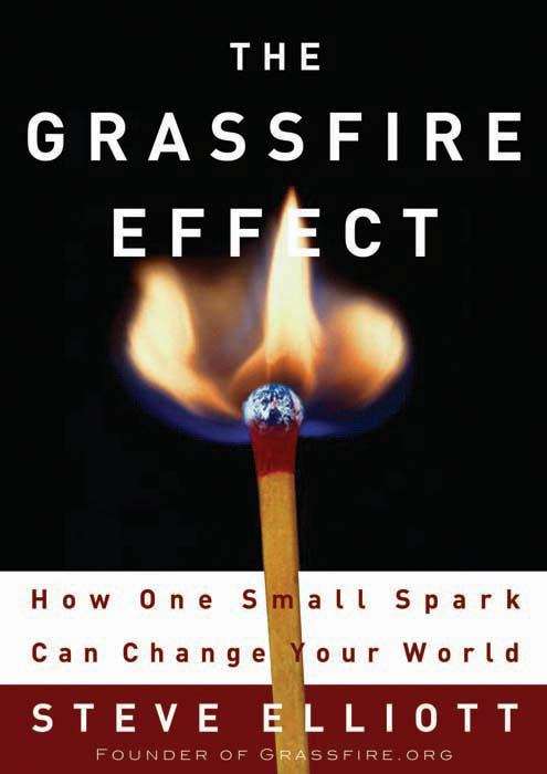 Book cover of The Grassfire Effect: How One Small Spark Can Change Your World