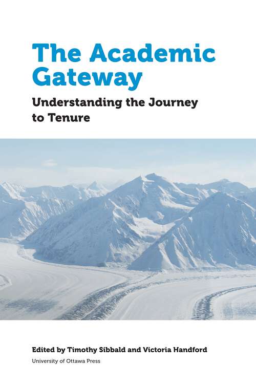 Book cover of The Academic Gateway: Understanding the Journey to Tenure (Education)