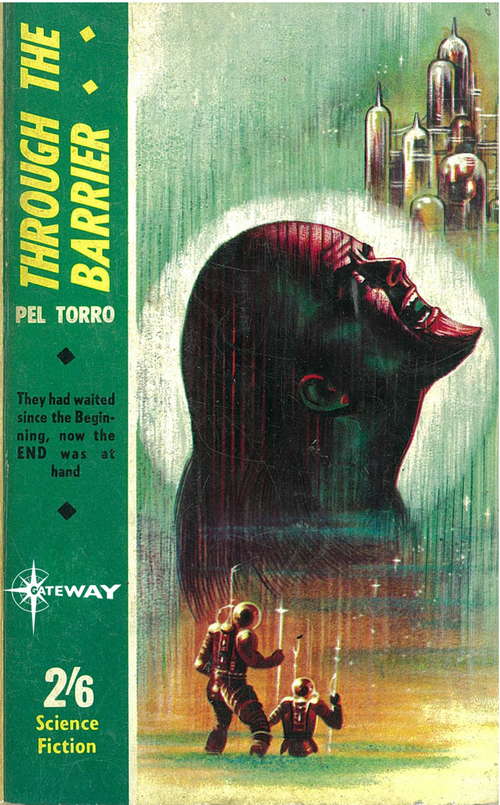 Book cover of Through The Barrier