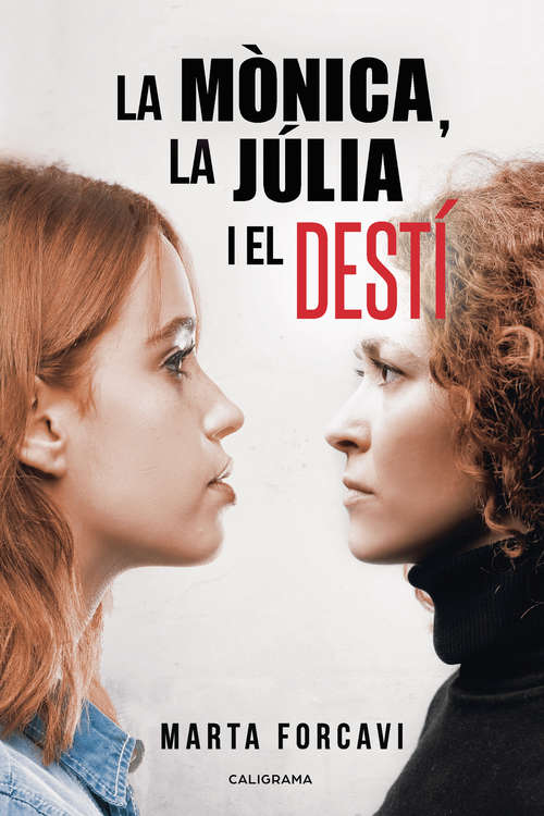 Book cover of La Mònica, la Júlia i el destí