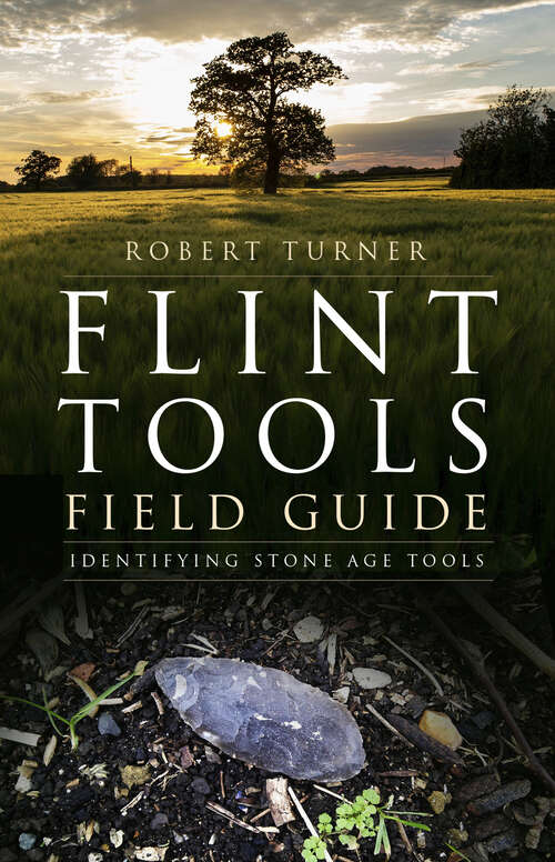 Book cover of Flint Tools Field Guide: Identifying Stone Age Tools