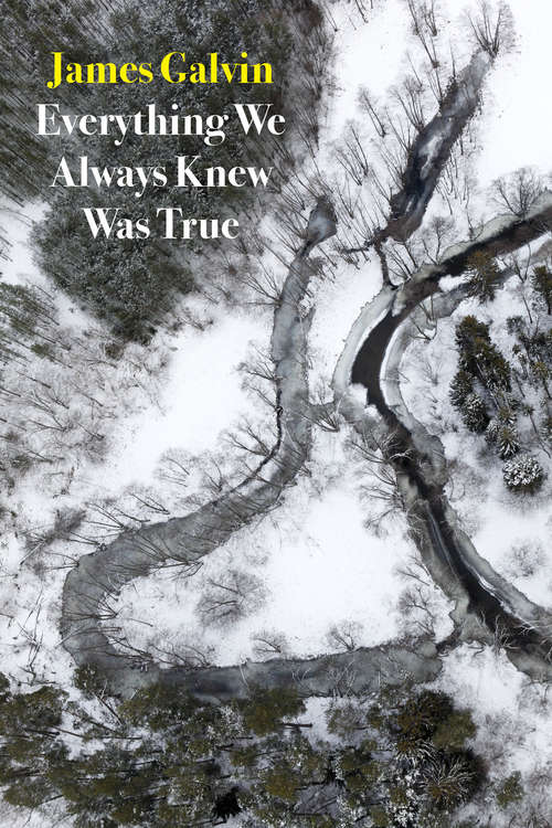 Book cover of Everything We Always Knew Was True