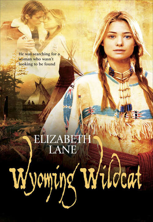 Book cover of Wyoming Wildcat