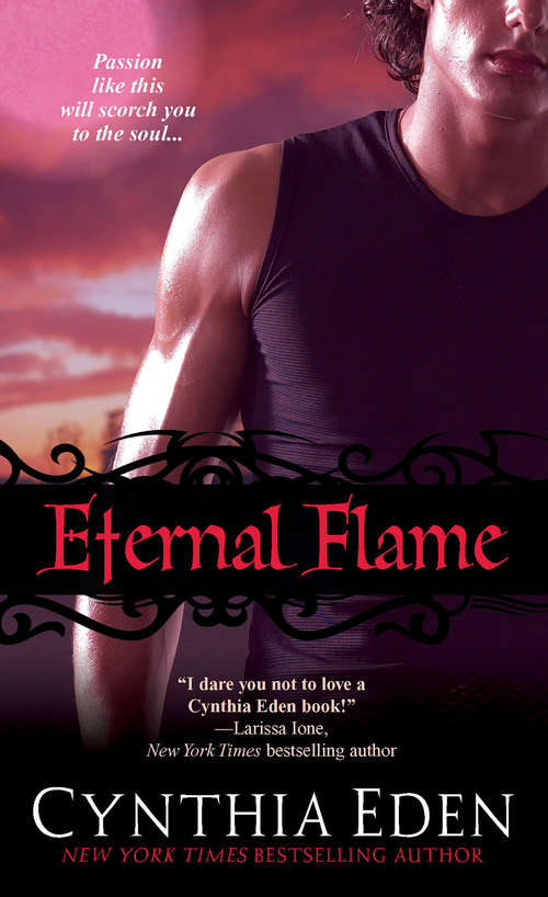 Book cover of Eternal Flame