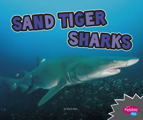 Book cover of Sand Tiger Sharks: A 4d Book (All About Sharks Ser.)