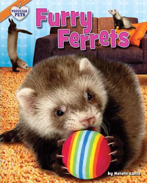 Book cover of Furry Ferrets (Peculiar Pets)