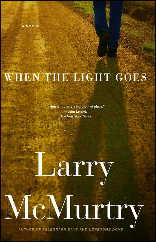 Book cover of When the Light Goes