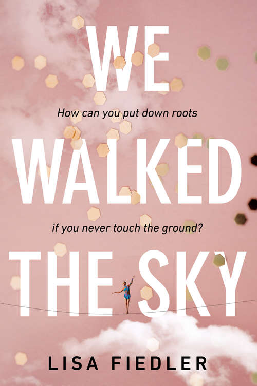 Book cover of We Walked the Sky