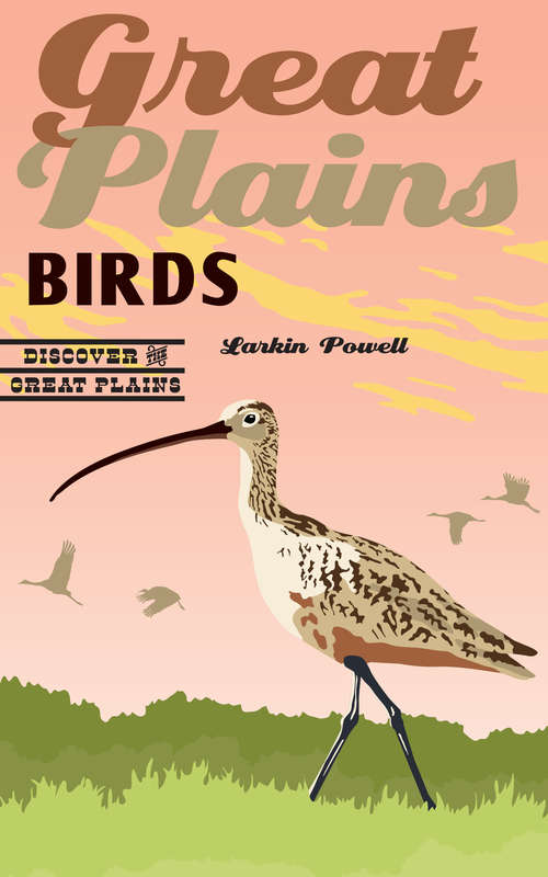 Book cover of Great Plains Birds (Discover the Great Plains)