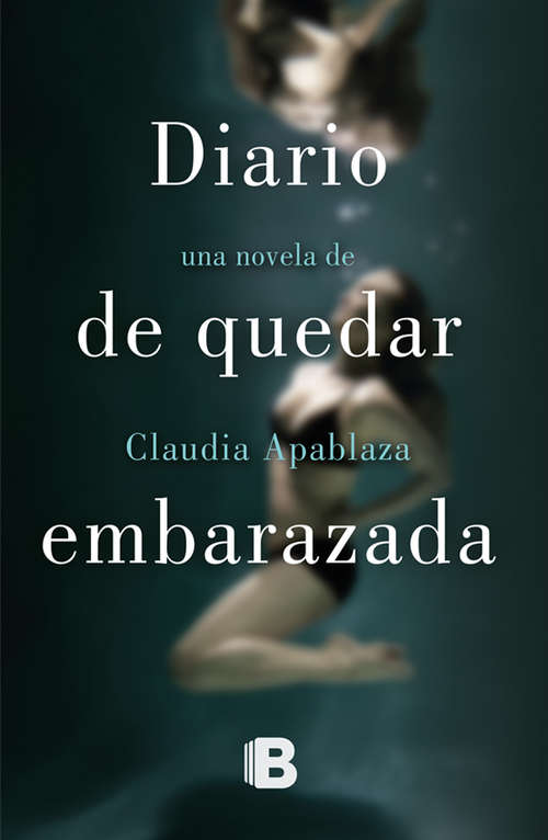 Book cover of Diario De Quedar Embarazada