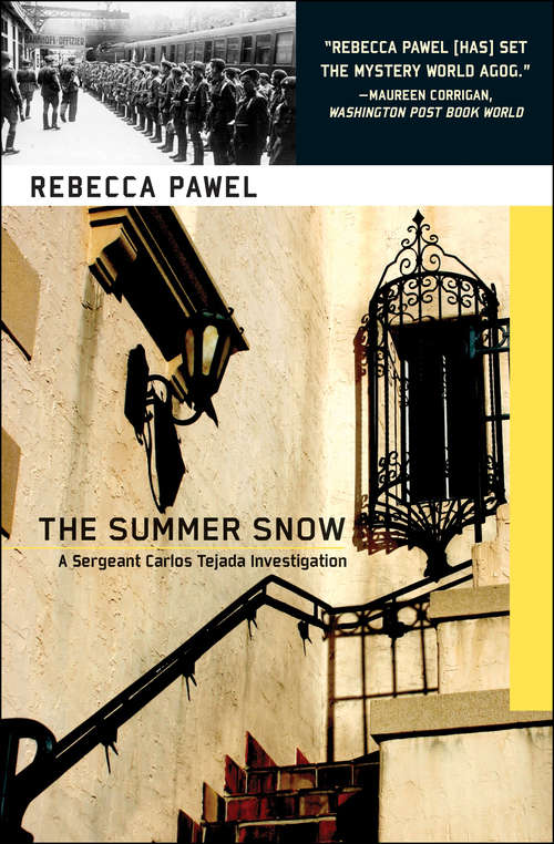 Book cover of Summer Snow
