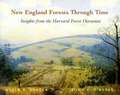 New England Forests Through Time: Insights From The Harvard Forest Dioramas
