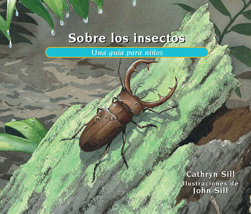 Book cover of Sobre los insectos: Una guía para niños (About. . .)