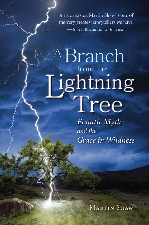 Book cover of A Branch from the Lightning Tree