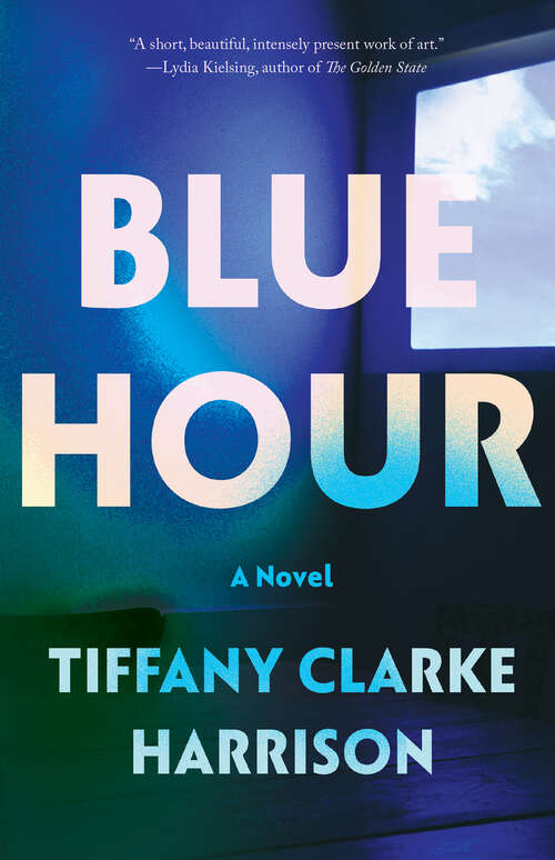 Book cover of Blue Hour: A Novel