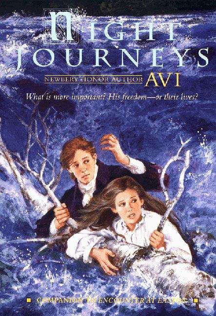 Book cover of Night Journeys