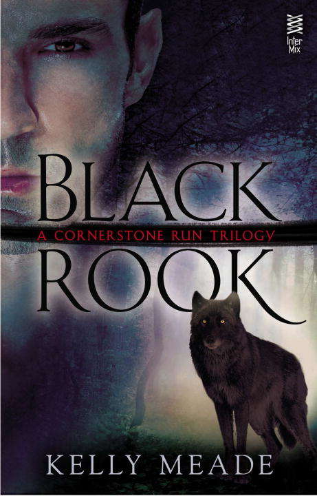Book cover of Black Rook