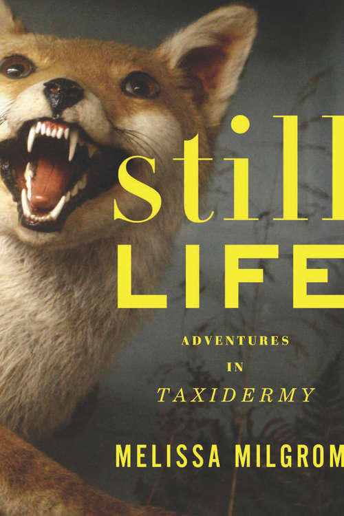 Book cover of Still Life: Adventures in Taxidermy