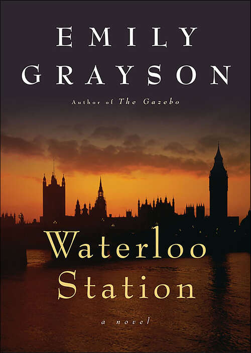 Book cover of Waterloo Station