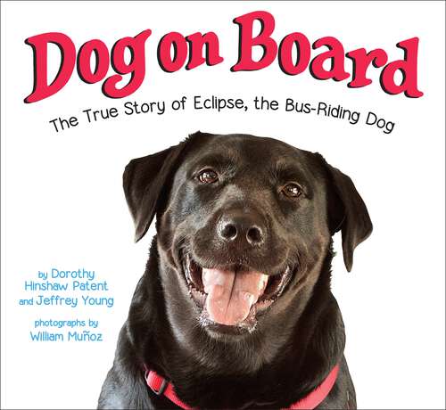 Book cover of Dog on Board: The True Story of Eclipse, the Bus-Riding Dog