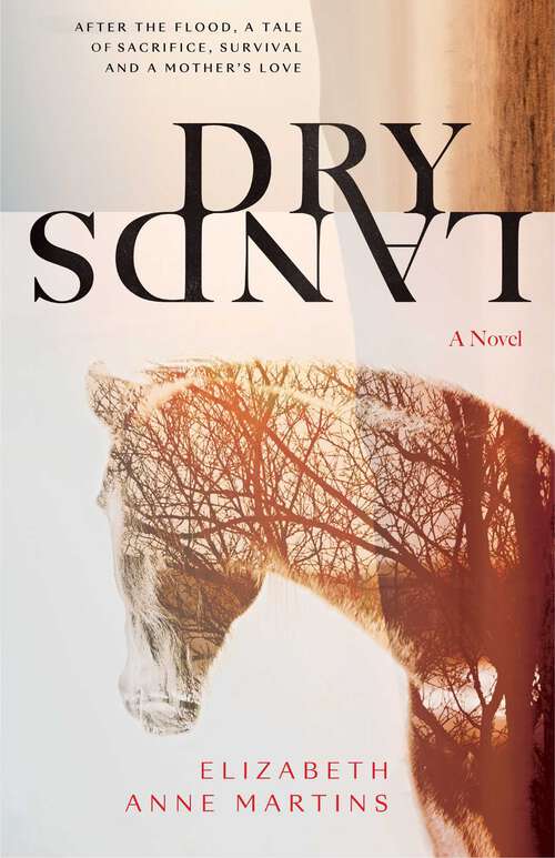 Book cover of Dry Lands