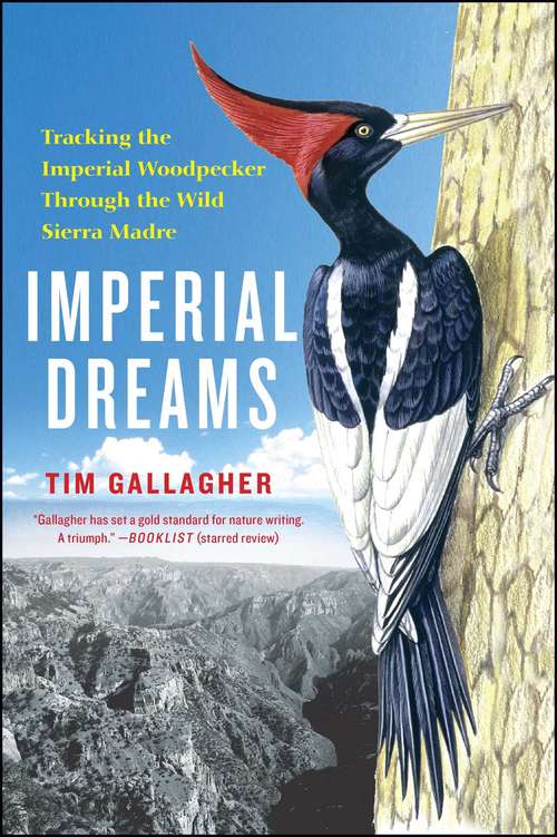 Book cover of Imperial Dreams: Tracking the Imperial Woodpecker Through the Wild Sierra Madre