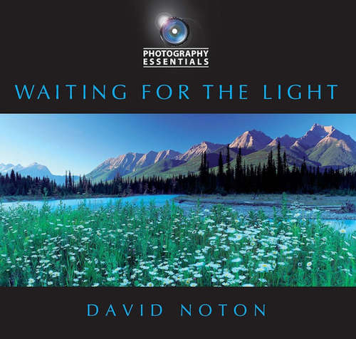 Book cover of Waiting for the Light