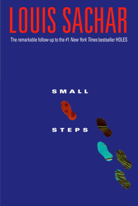 Book cover of Small Steps (Readers Circle Ser.)