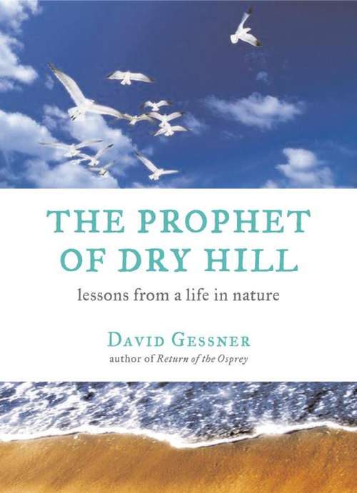 Book cover of The Prophet of Dry Hill: Lessons from a Life in Nature